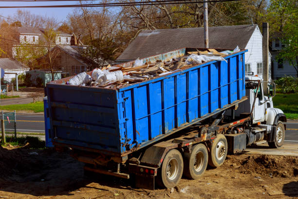 Debris Removal in Shorewood, MN